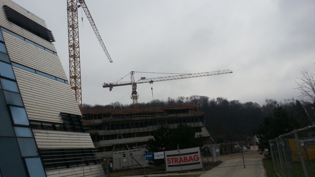 2020-01-26 10.59.54.jpg